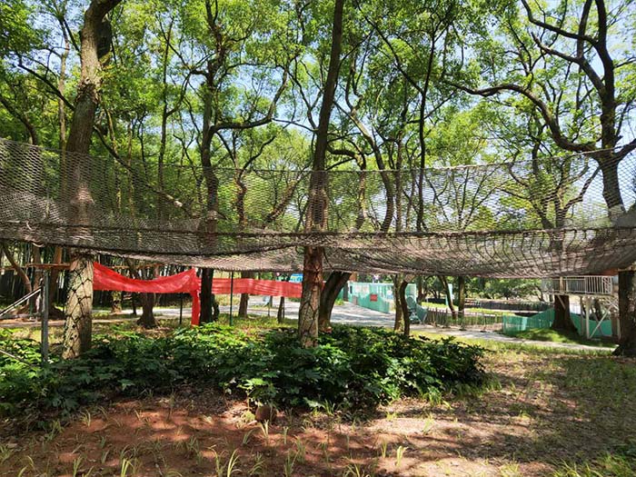 室外游樂場設(shè)備